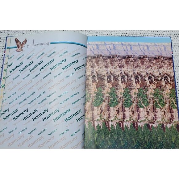 Reaching for Your Dreams in 5-D Stereograms Book - Picture 4 of 4